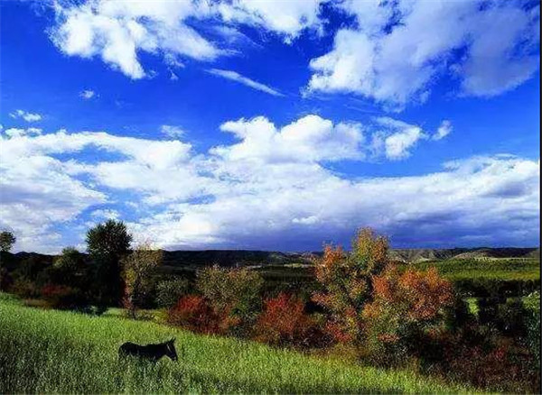 寶潤(rùn)達(dá)