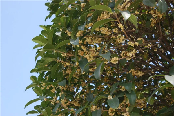 寶潤(rùn)達(dá)