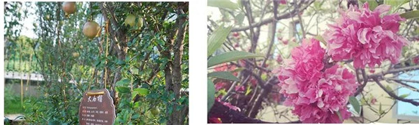 寶潤(rùn)達(dá)