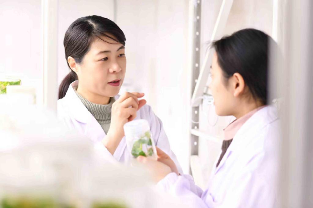 Why choose us-BRDECO